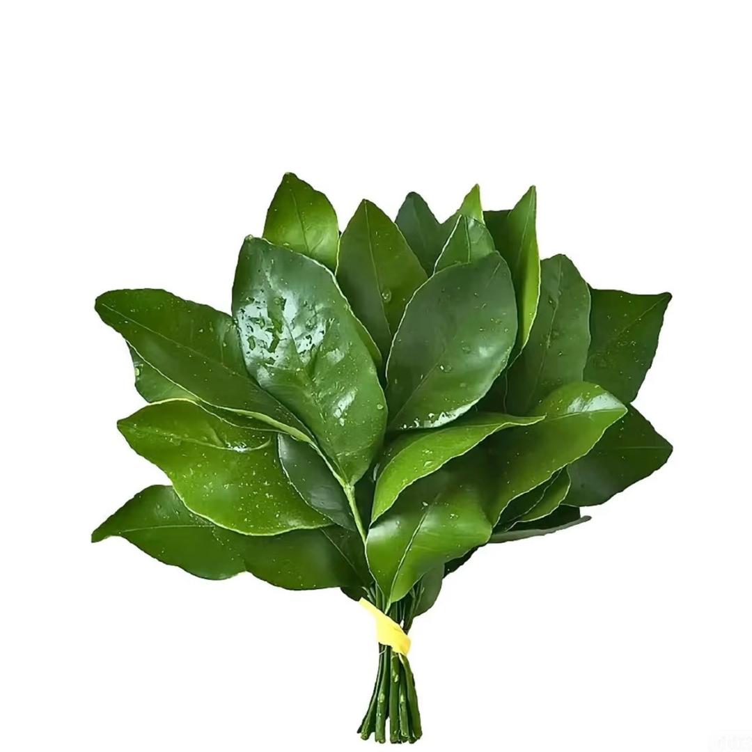 小和不爱吃葱