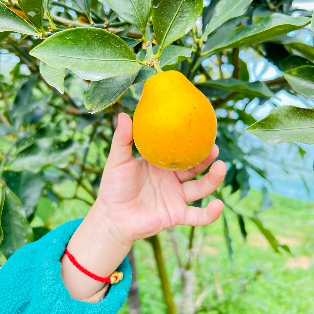 云姐水果优品小铺
