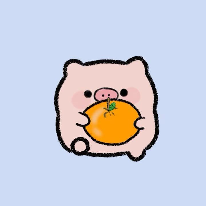 猪猪小跟班🐷