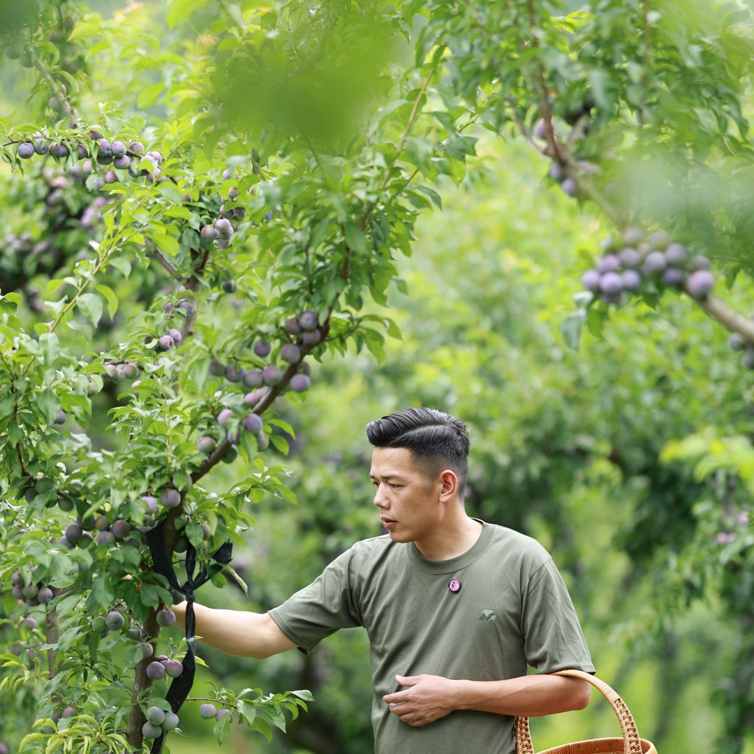 绿禾鲜优选