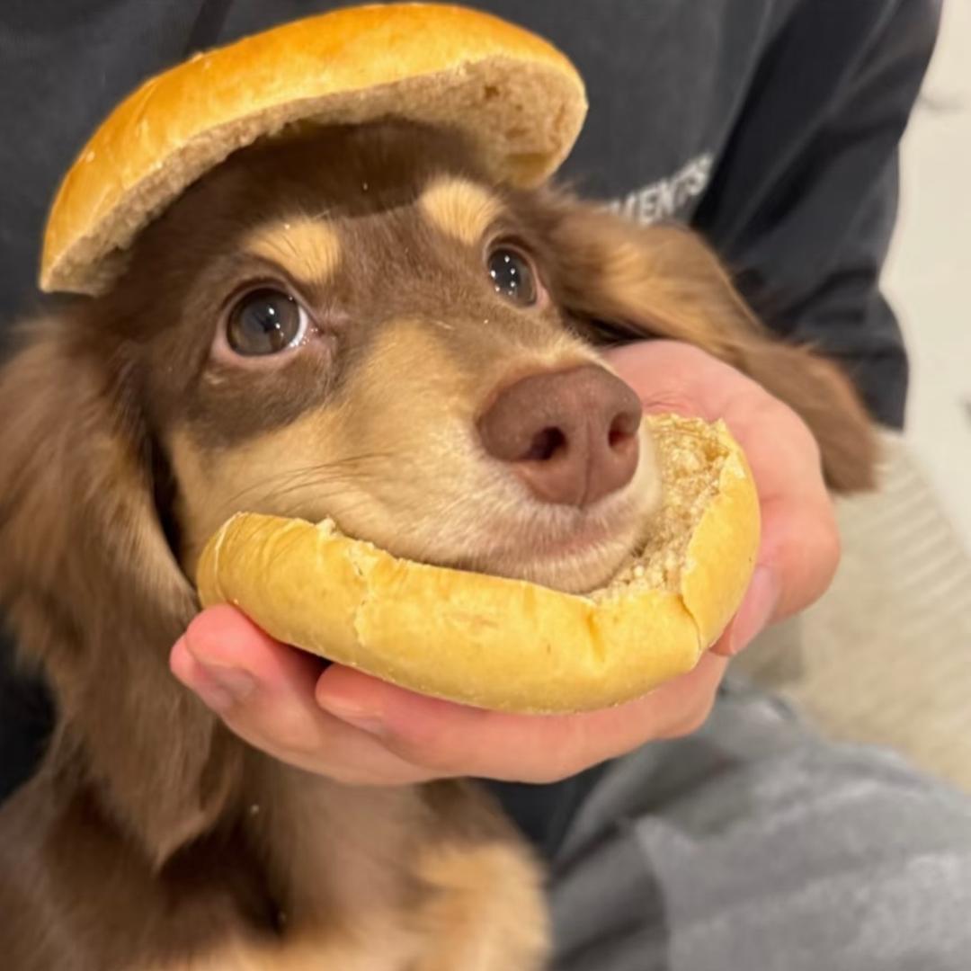 济宁要饭的.