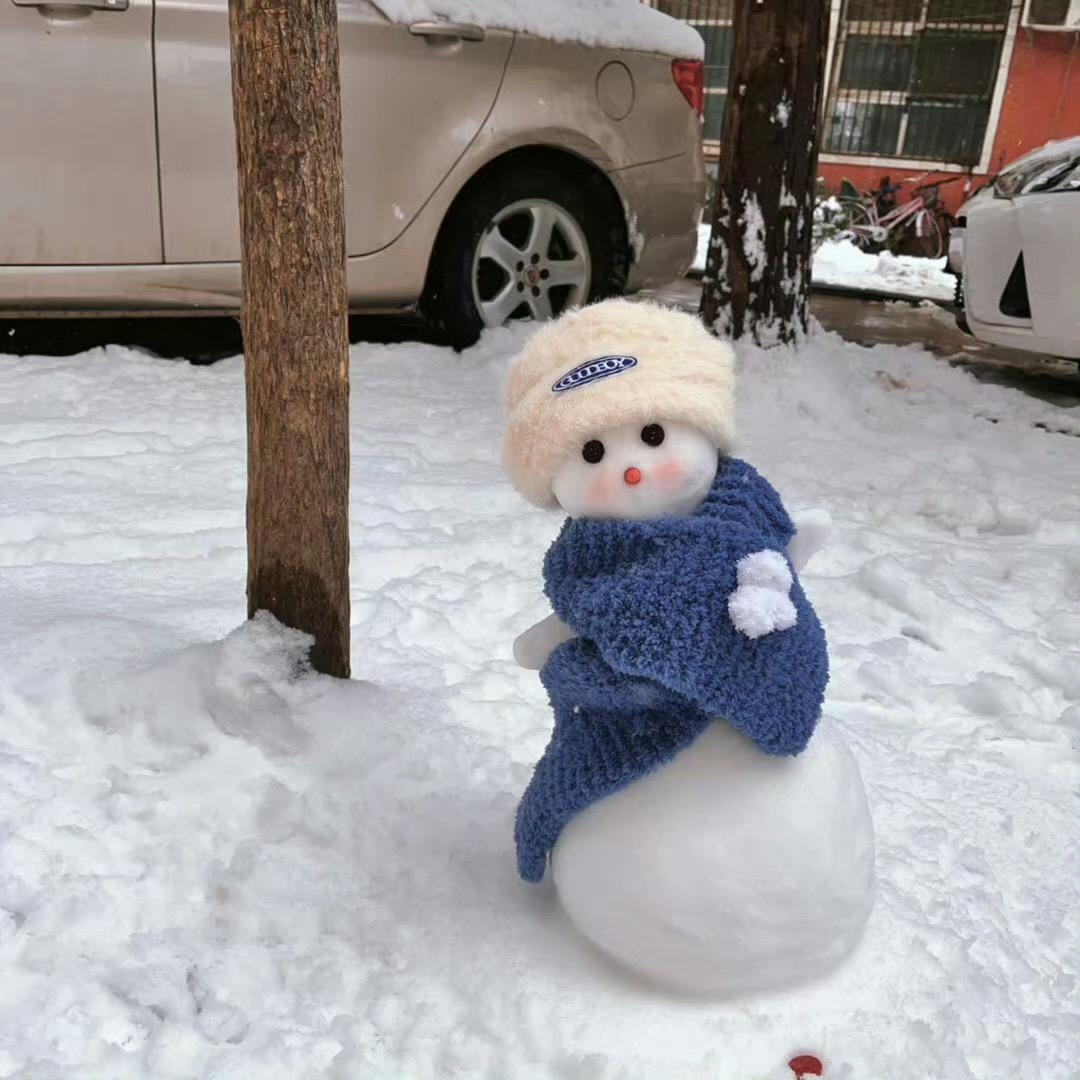 一颗小迪