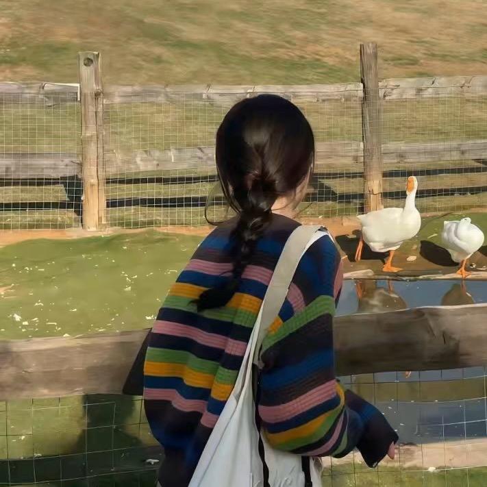 玖野甄选文玩核桃