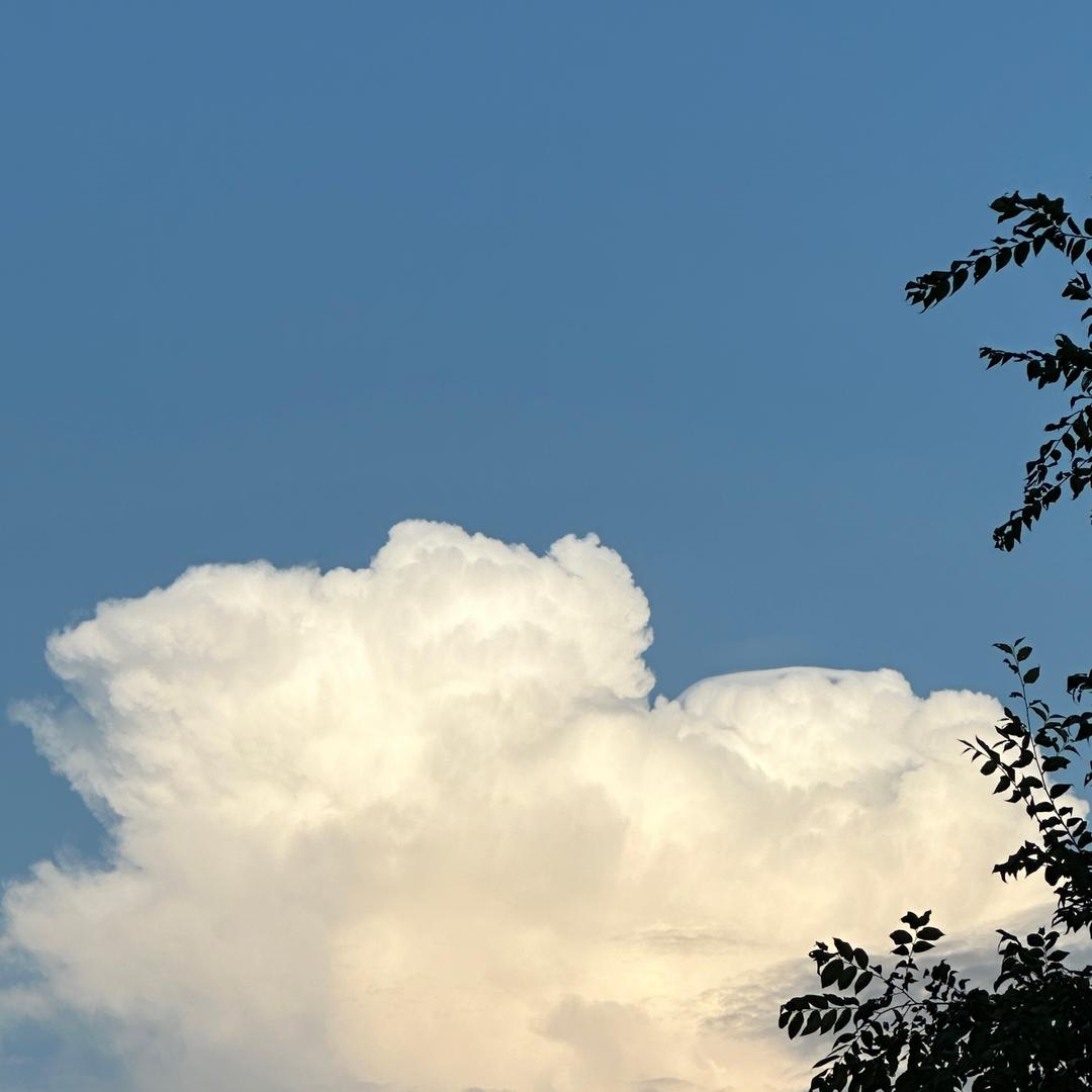 談嘏（破局重生）