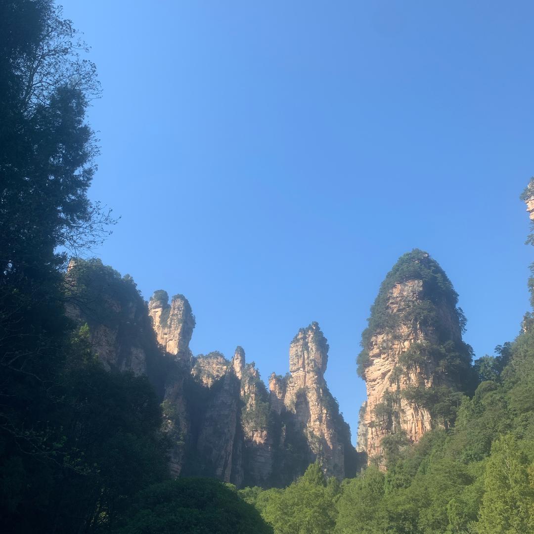 大姐