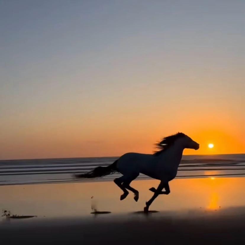 锂电池回收终端商