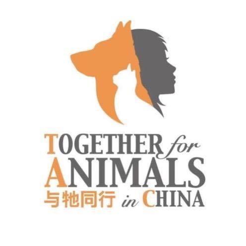 与牠同行tac