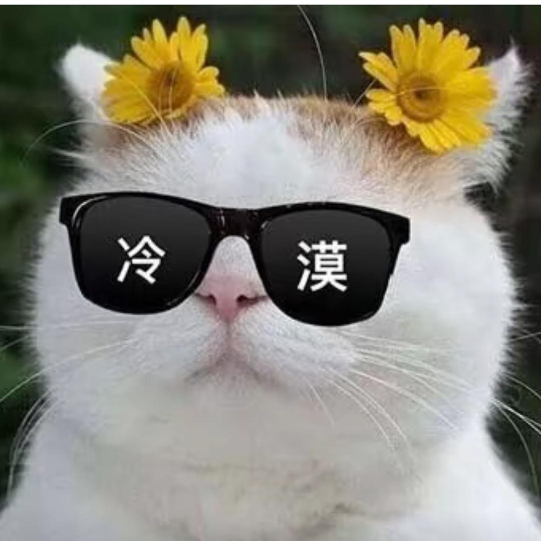 禅游邓邓