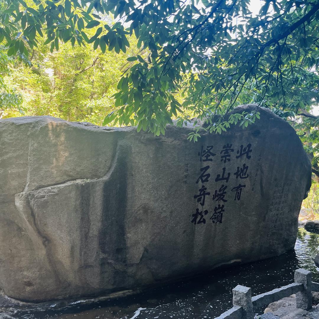 风生水起💰