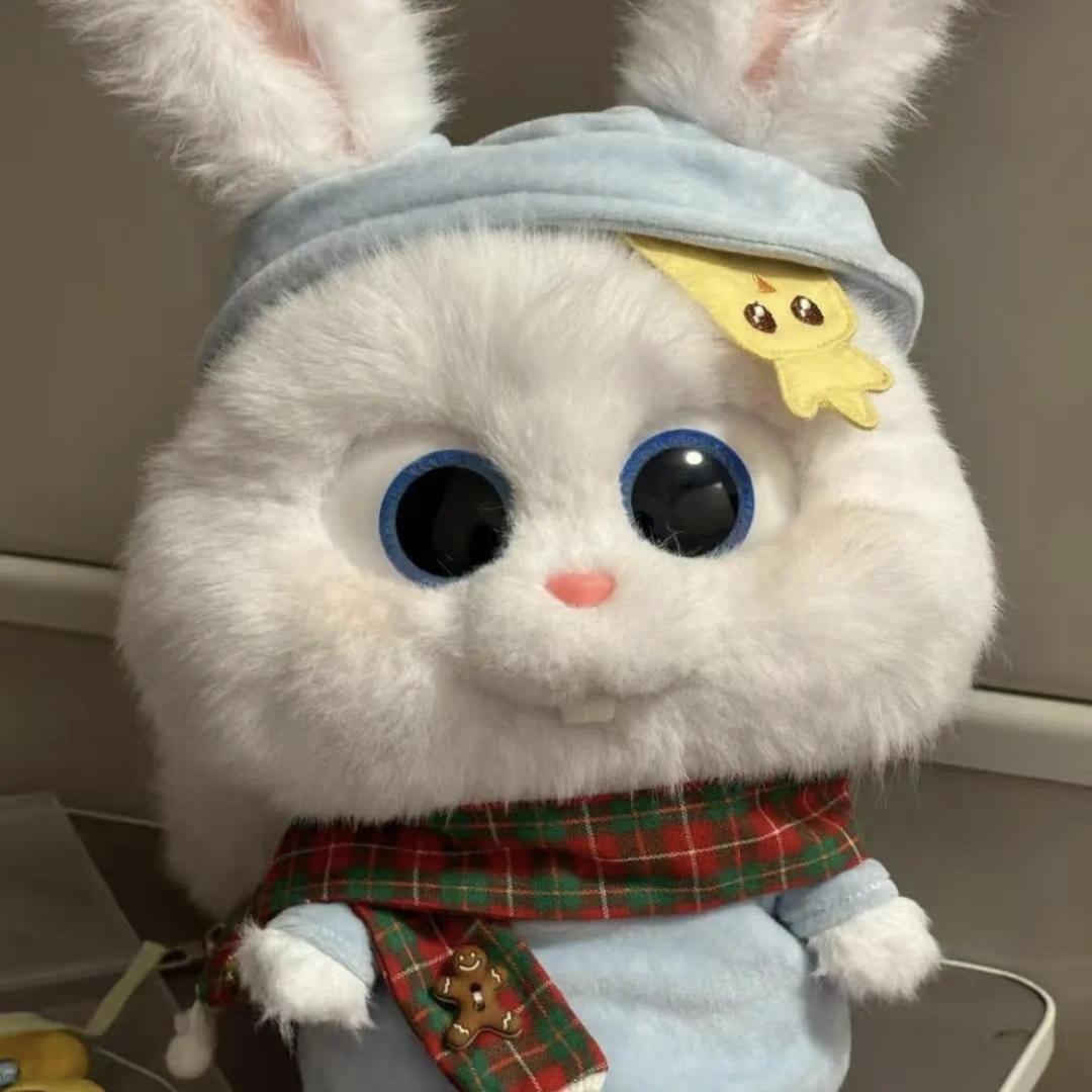 小白熊呀