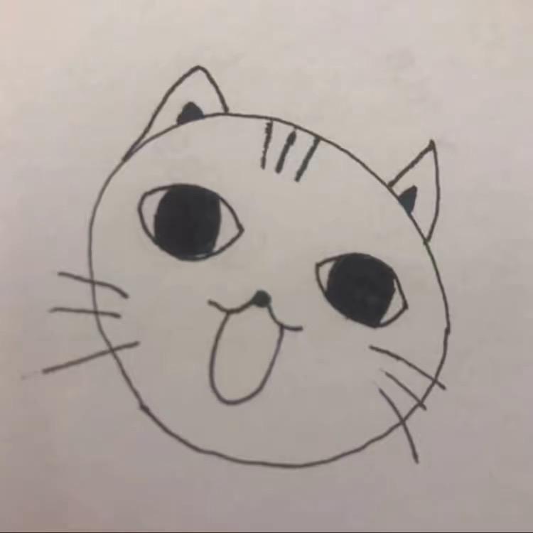 透山猫🐈头像