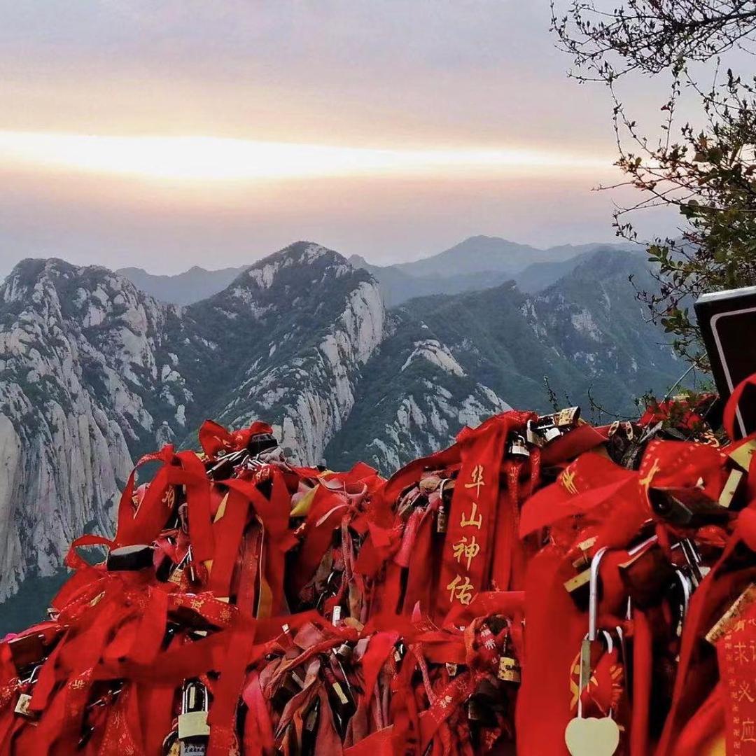 知木987（战玲珑2+粉裙安排福利版）