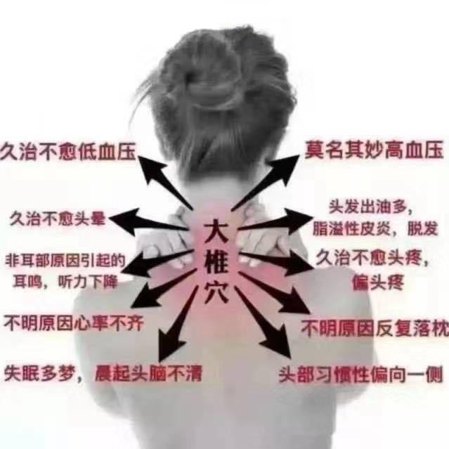 腊月梅花随心随意向往生活