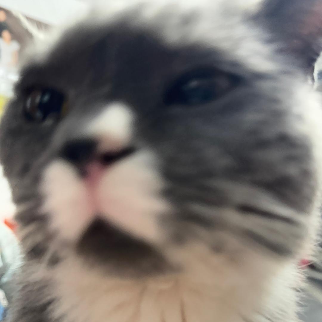 周 游