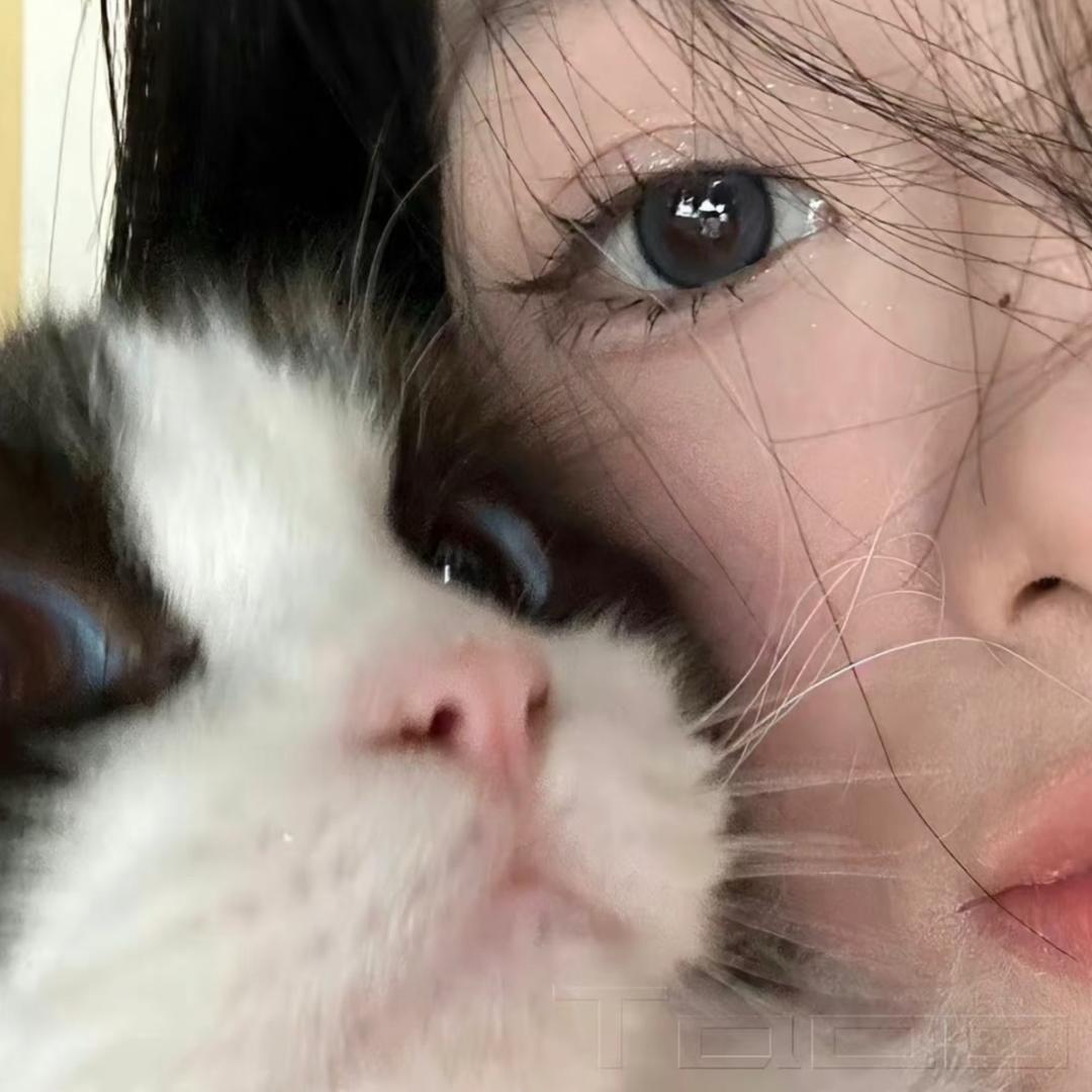 u.