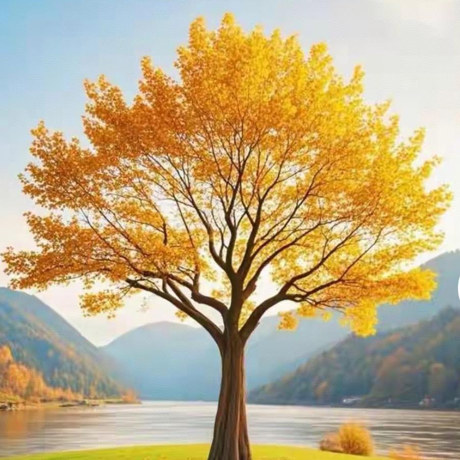 柯锋(港务沙石)