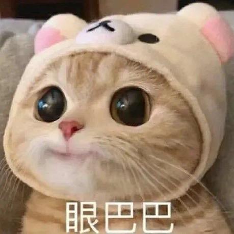 饿货馋猫