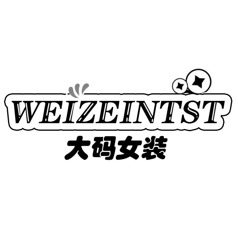 WEIZEINTST尉泽大码女装