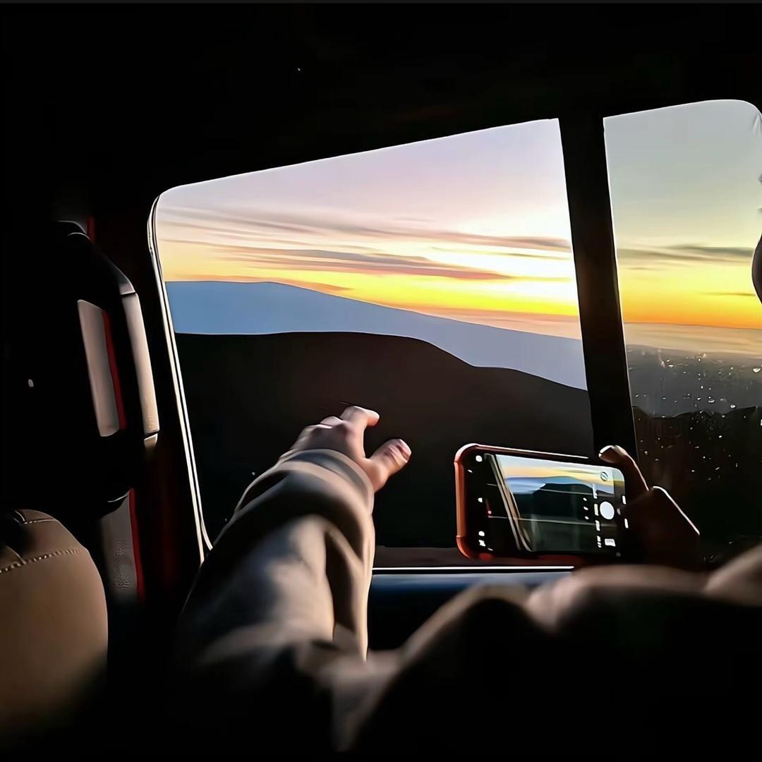 不吃香菇🍄‍🟫