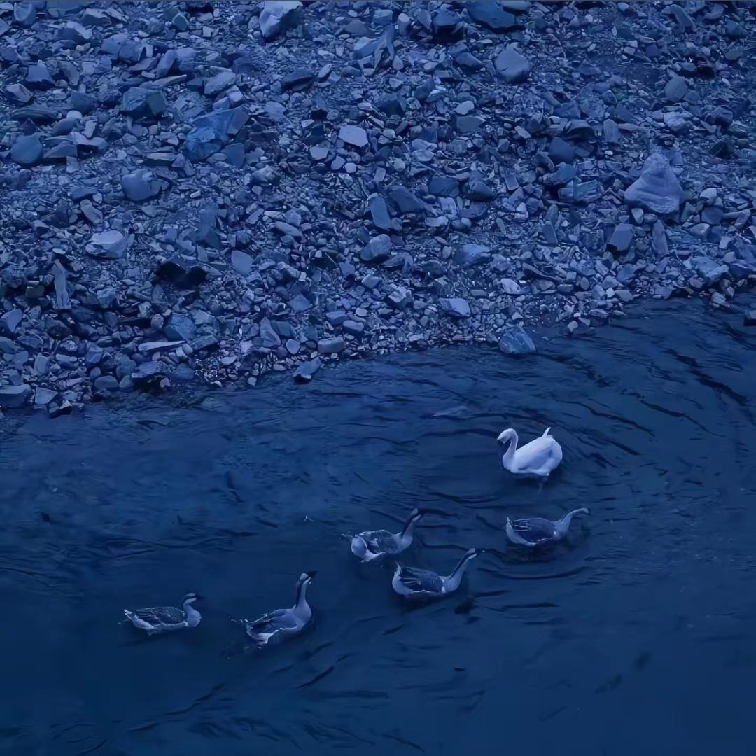 𝘽𝙇𝙐𝙀：）