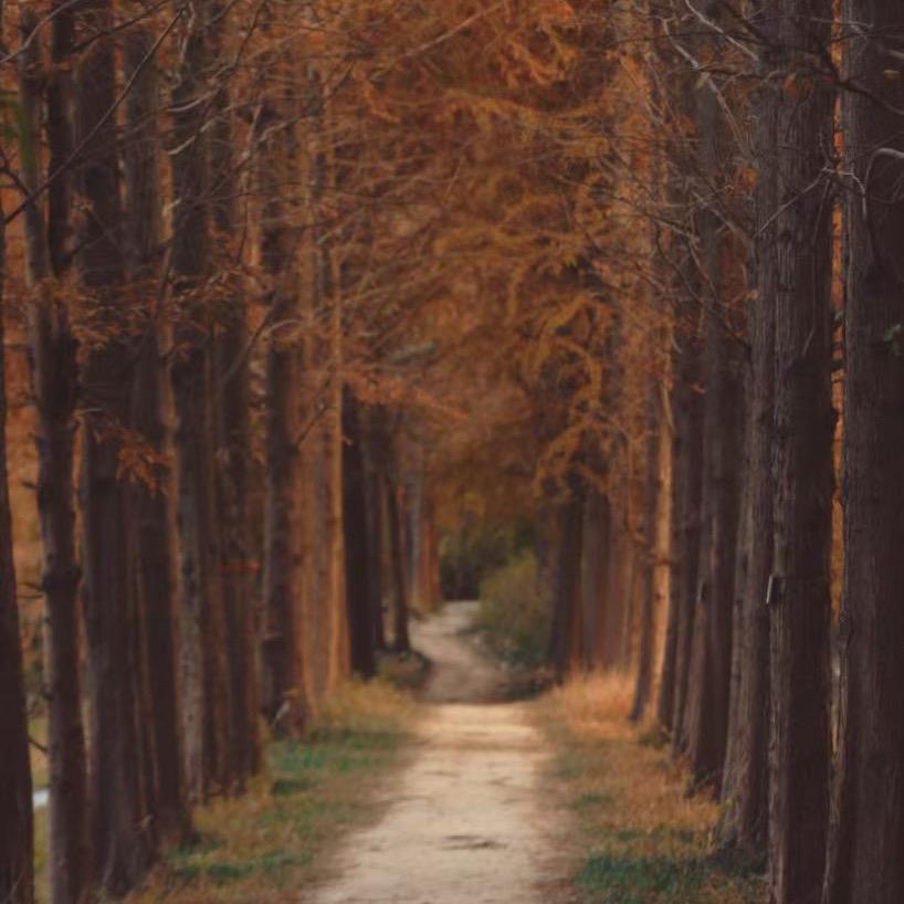 银烛秋光冷画屏