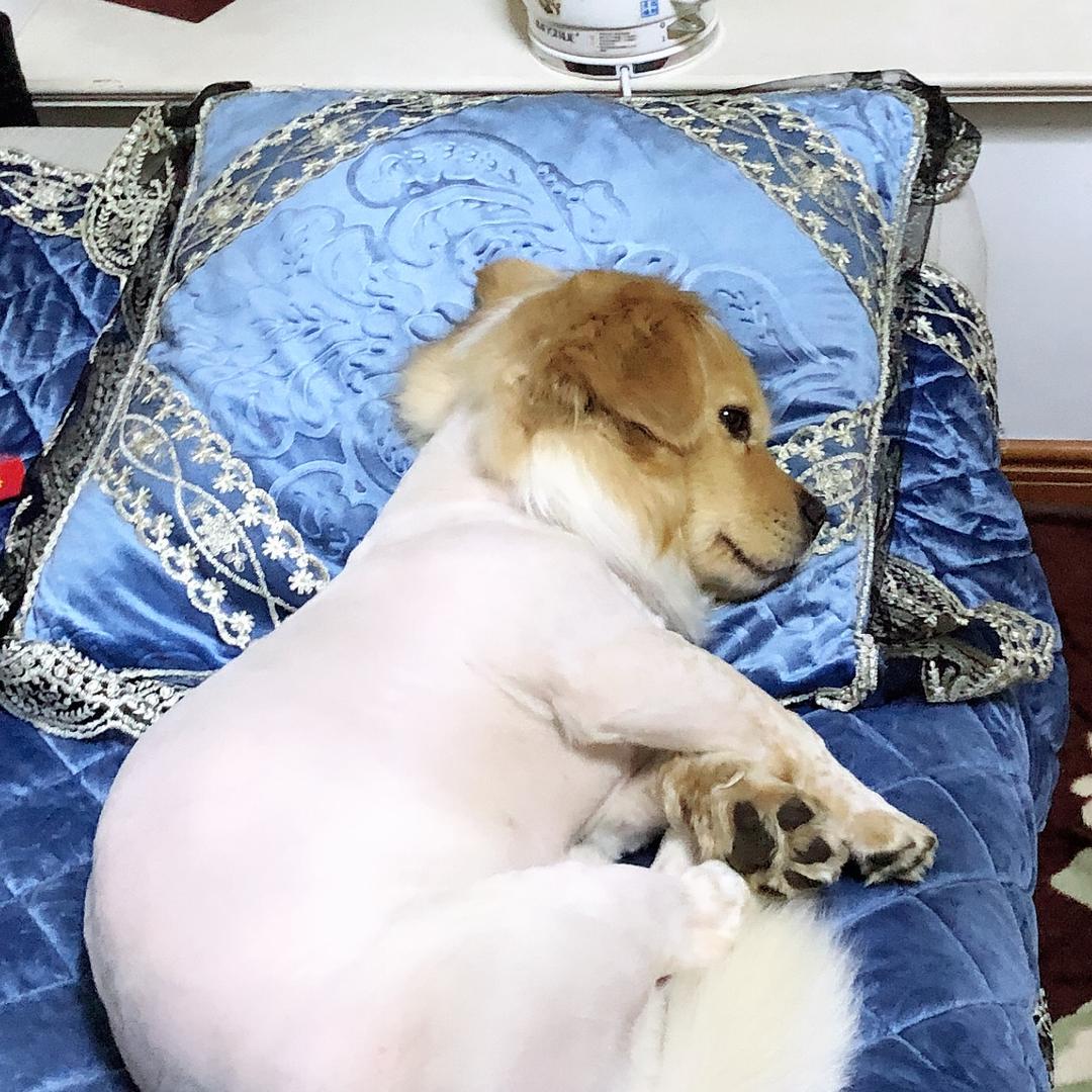 安静