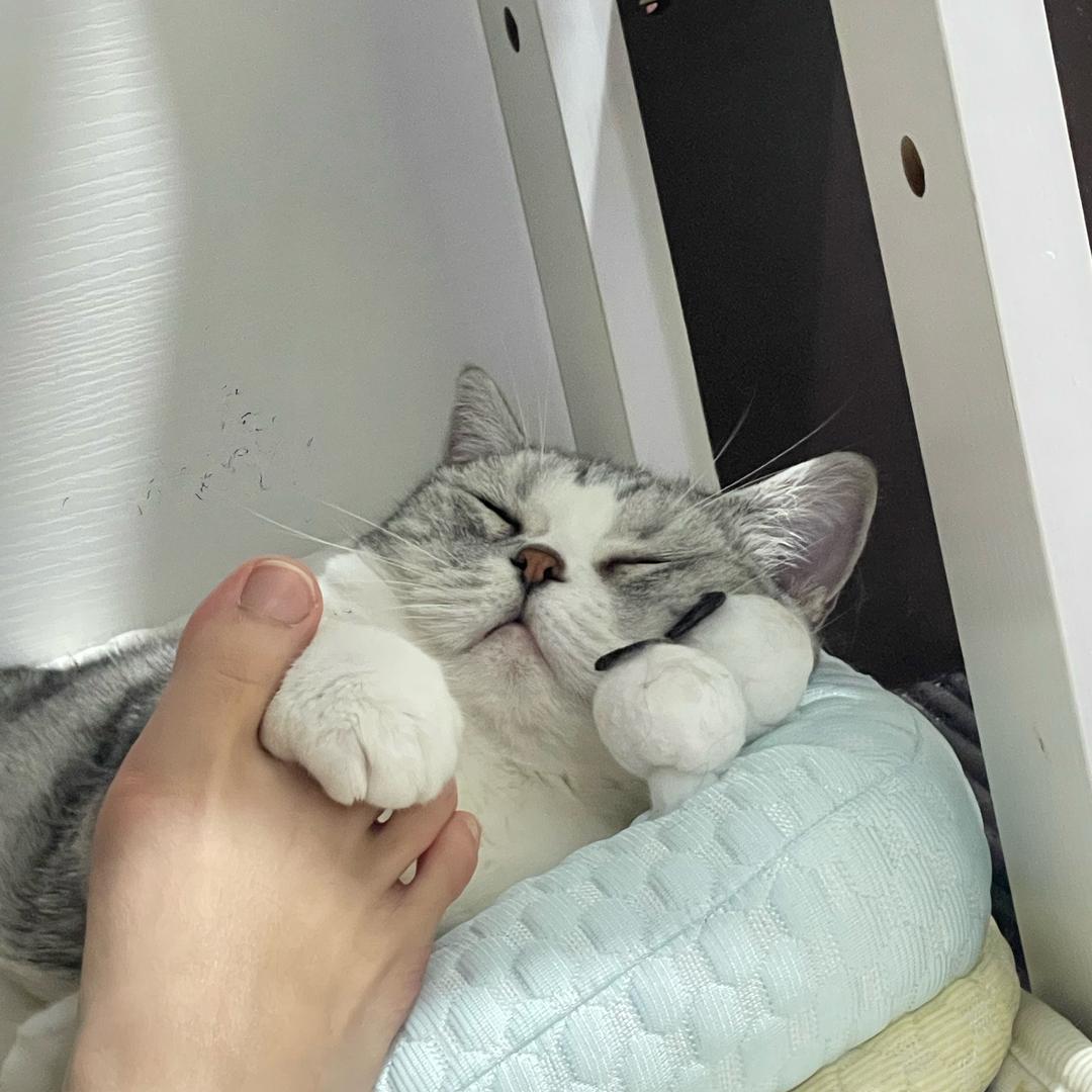 佳