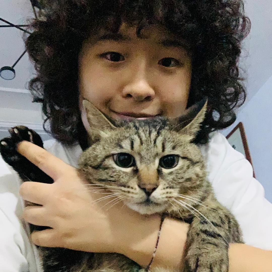 出门汪汪叫的大迷猫