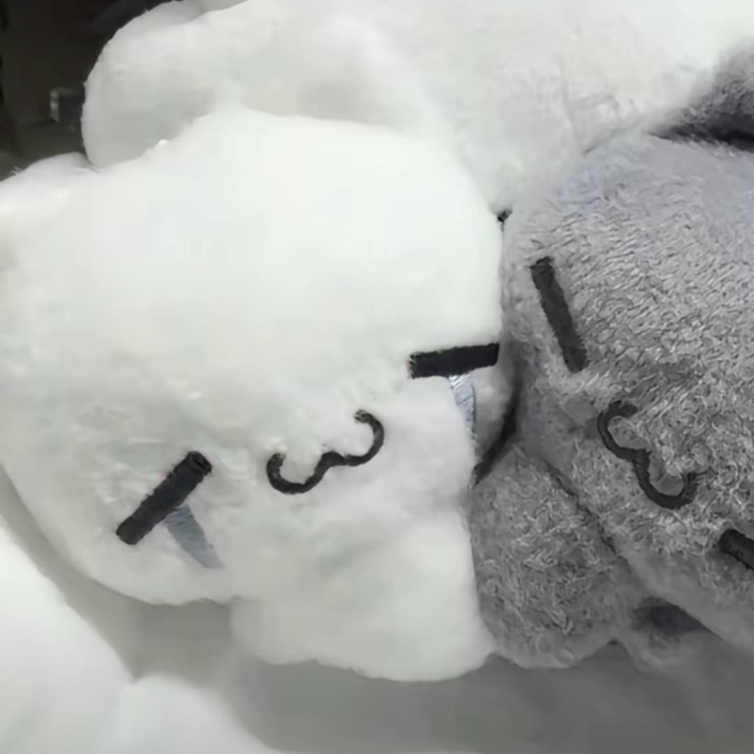 186纯情男高中生