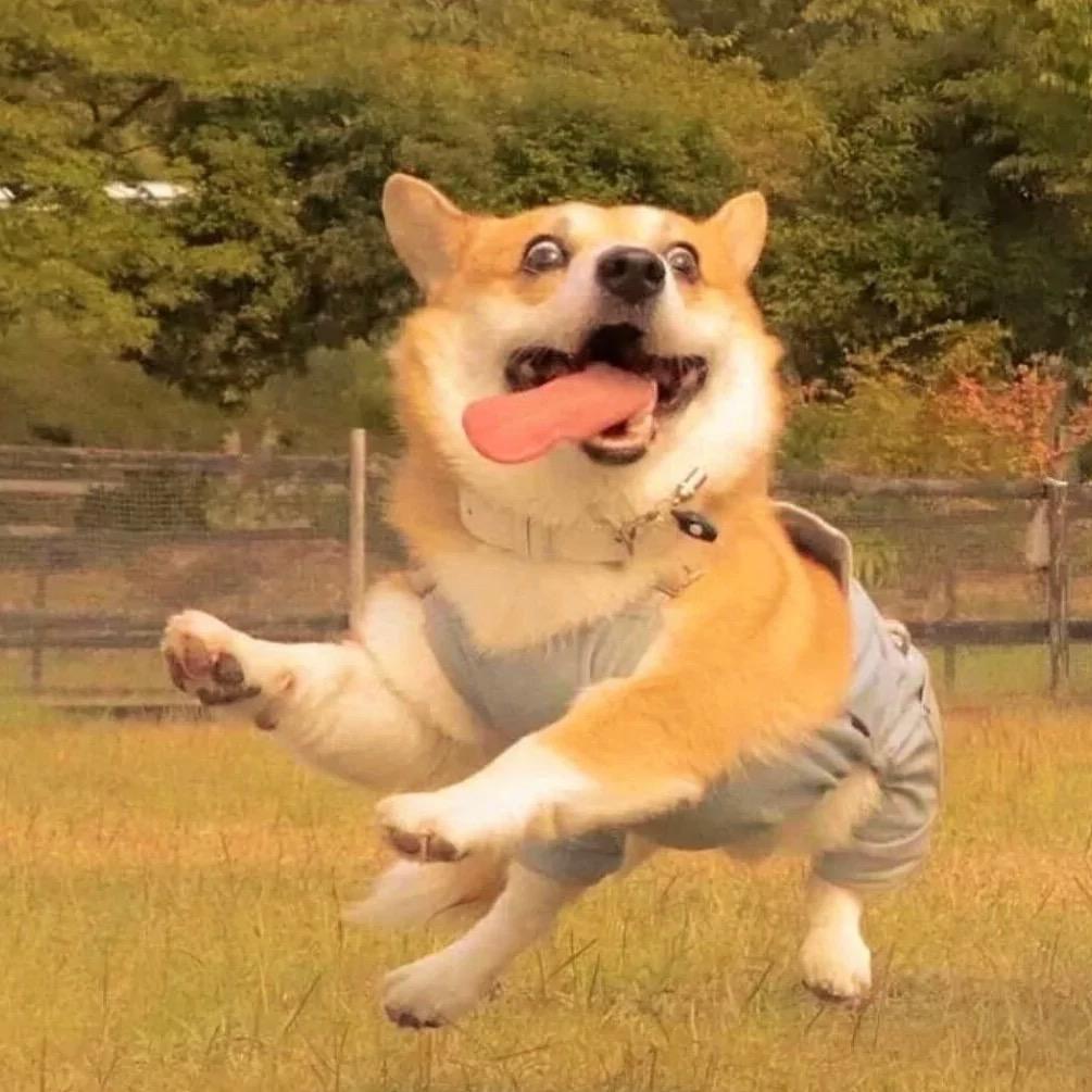 忘有