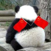 骑猪去兜风