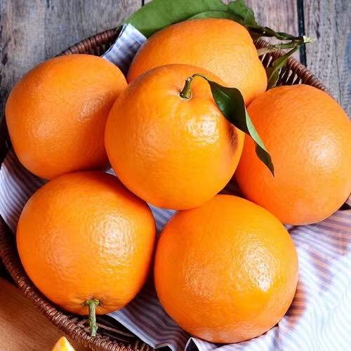江西赣南脐橙