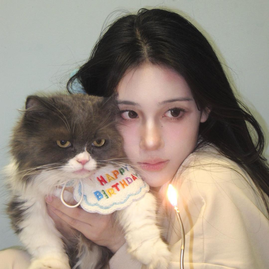 汤力猫