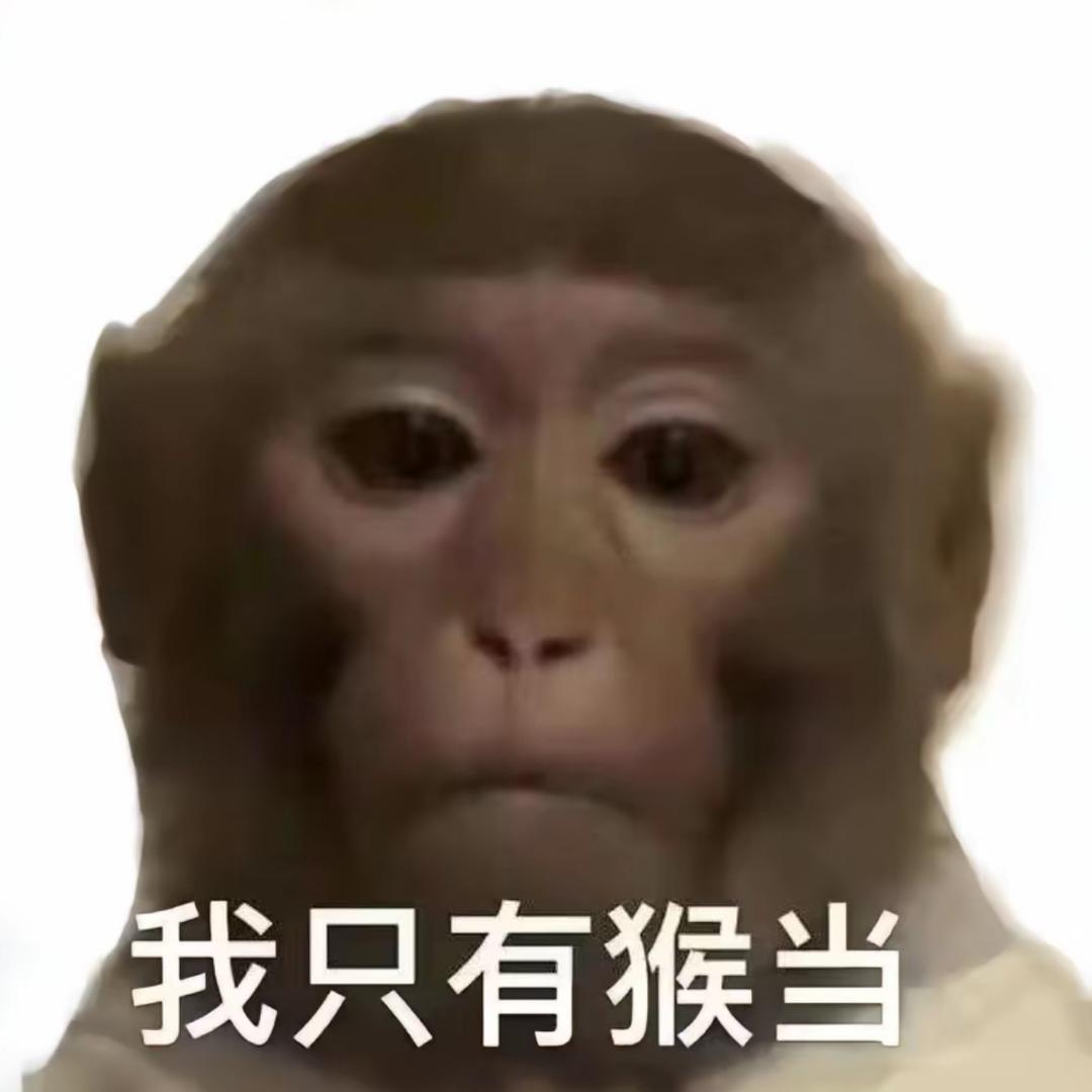 满山猴子我腚最红