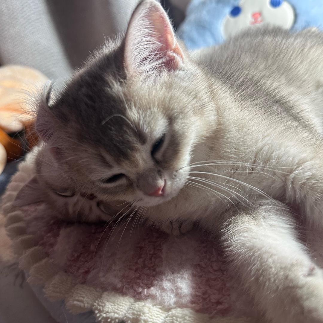 刘老师身高管理