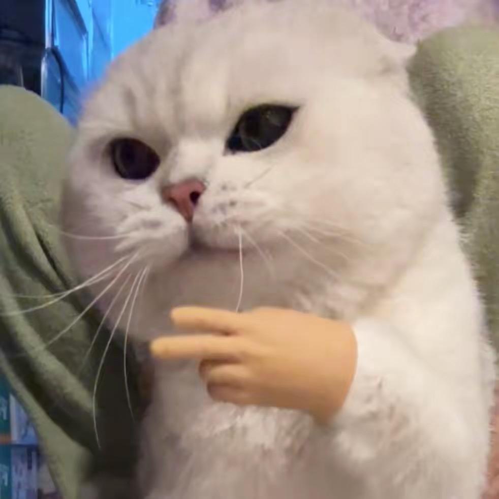 小金精选