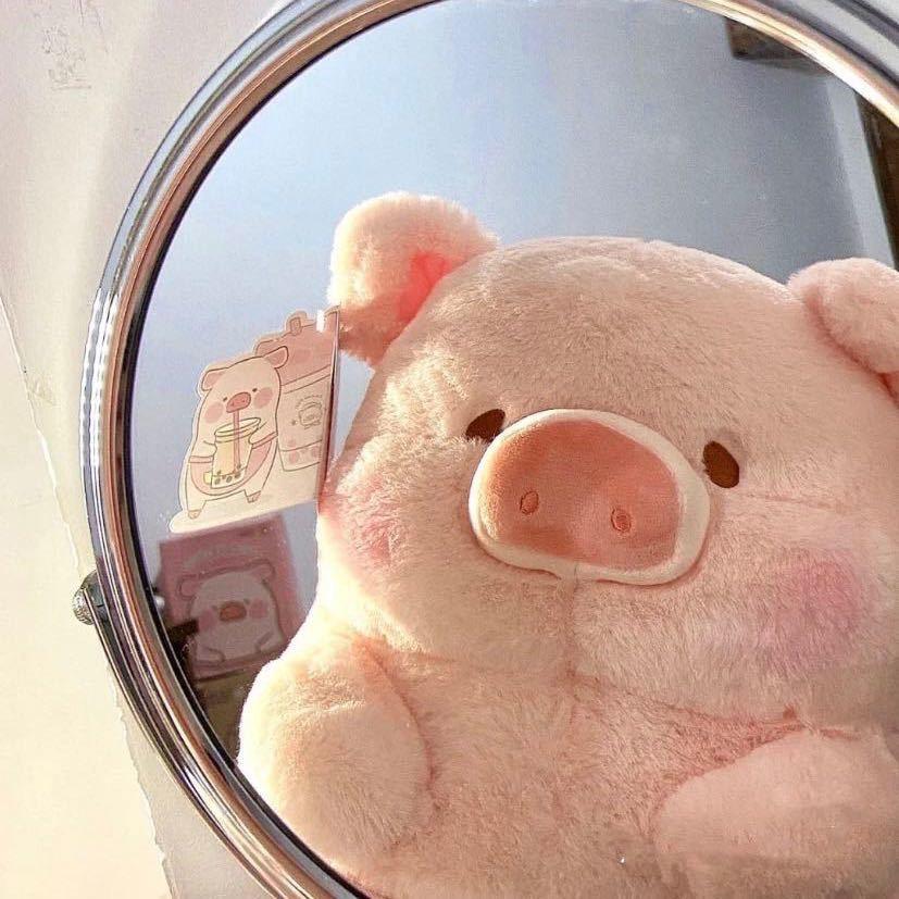 小猪贝子