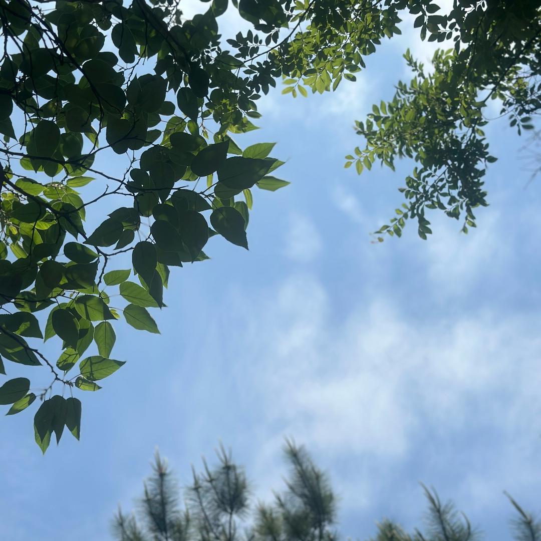 旺仔优选吖