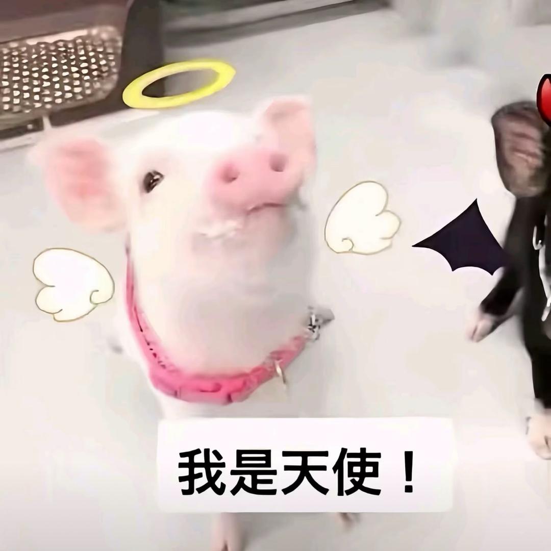 鱿鱼