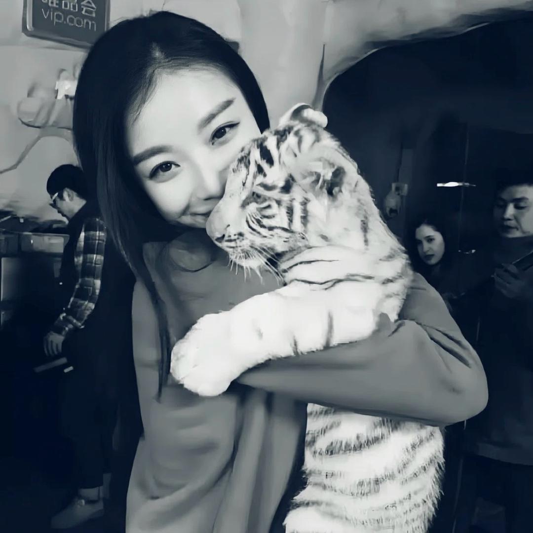 九亿美少女的梦