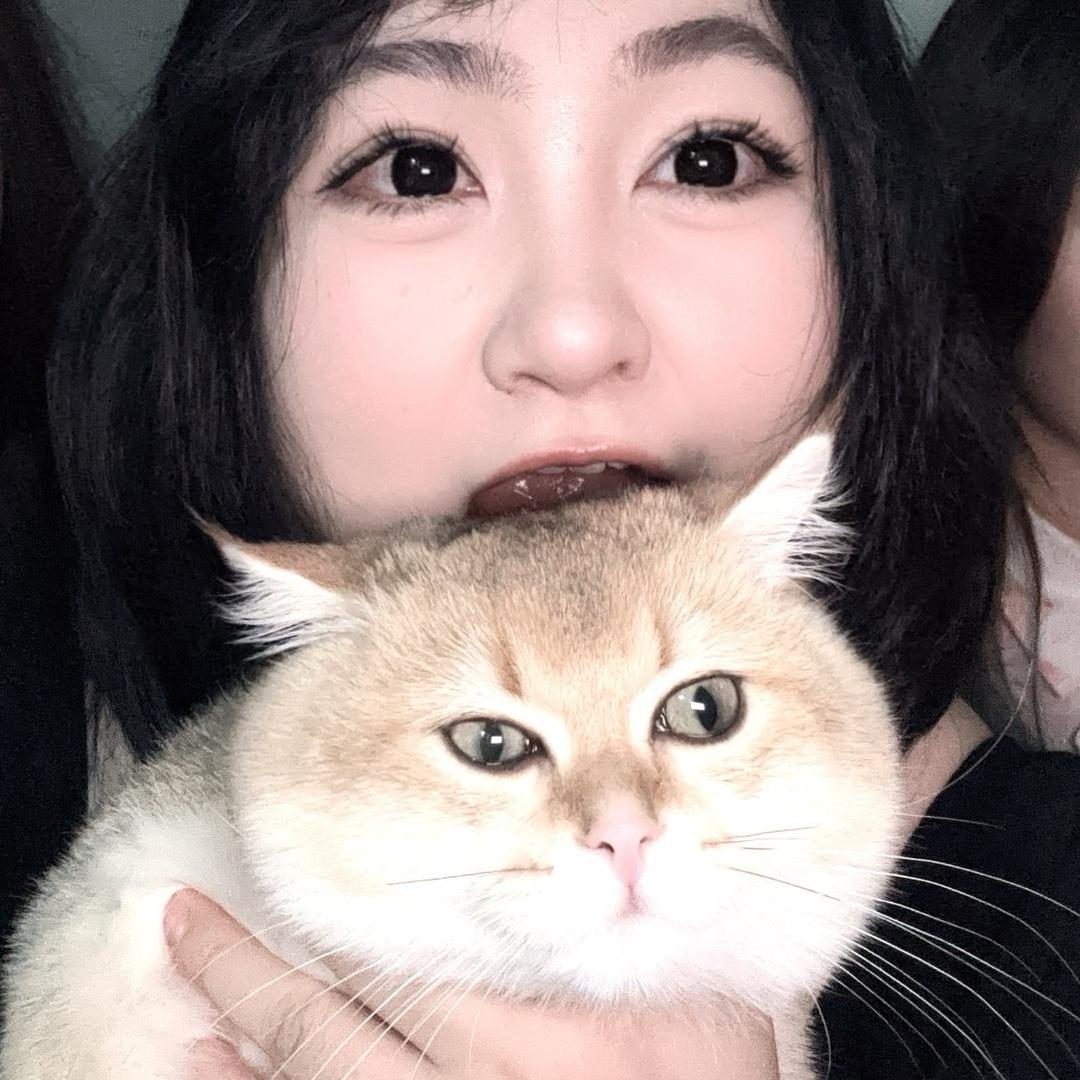 呆呆不呆呆
