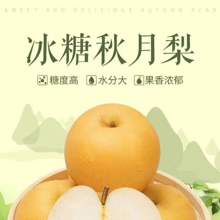 秋月梨🍐