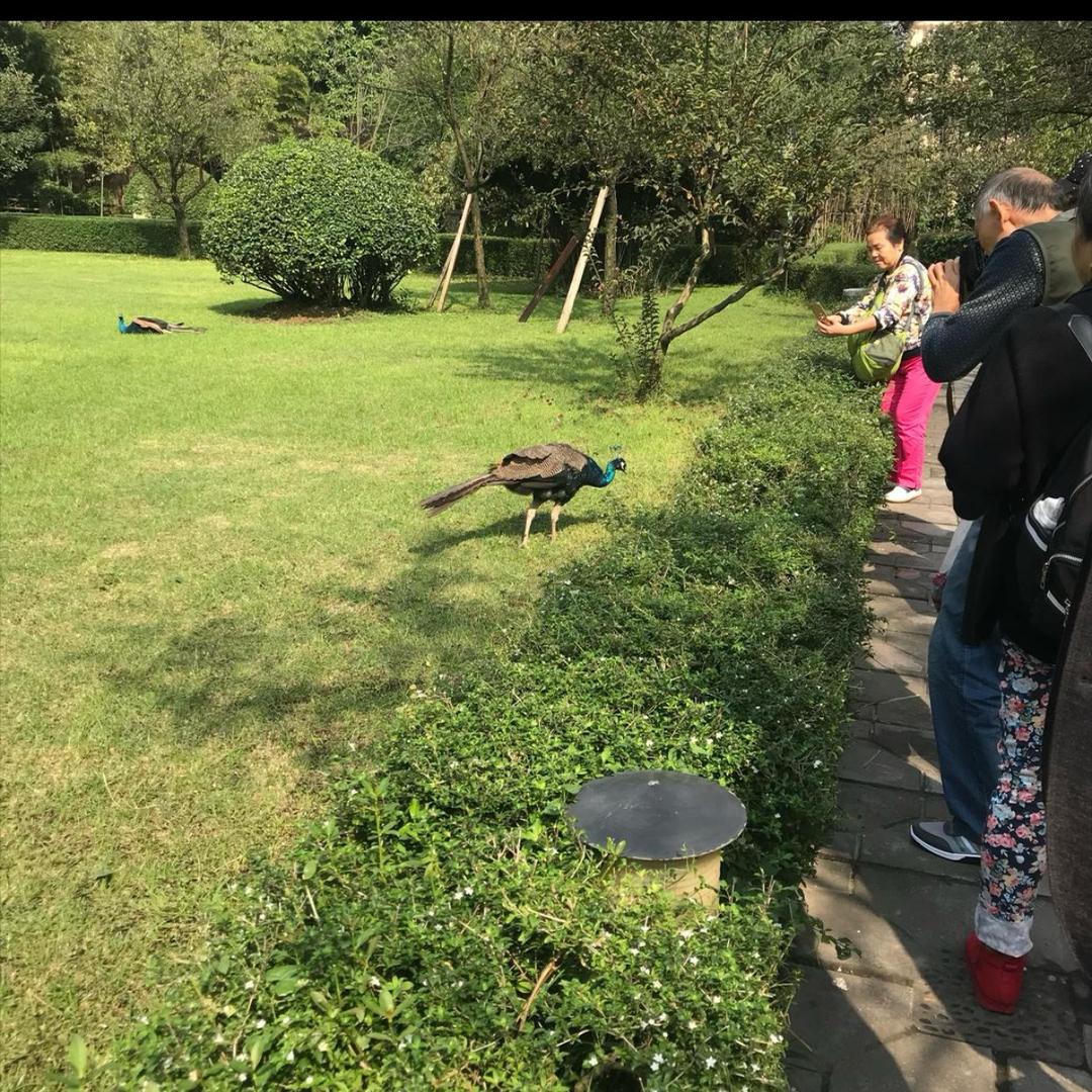 废物队友驱逐者