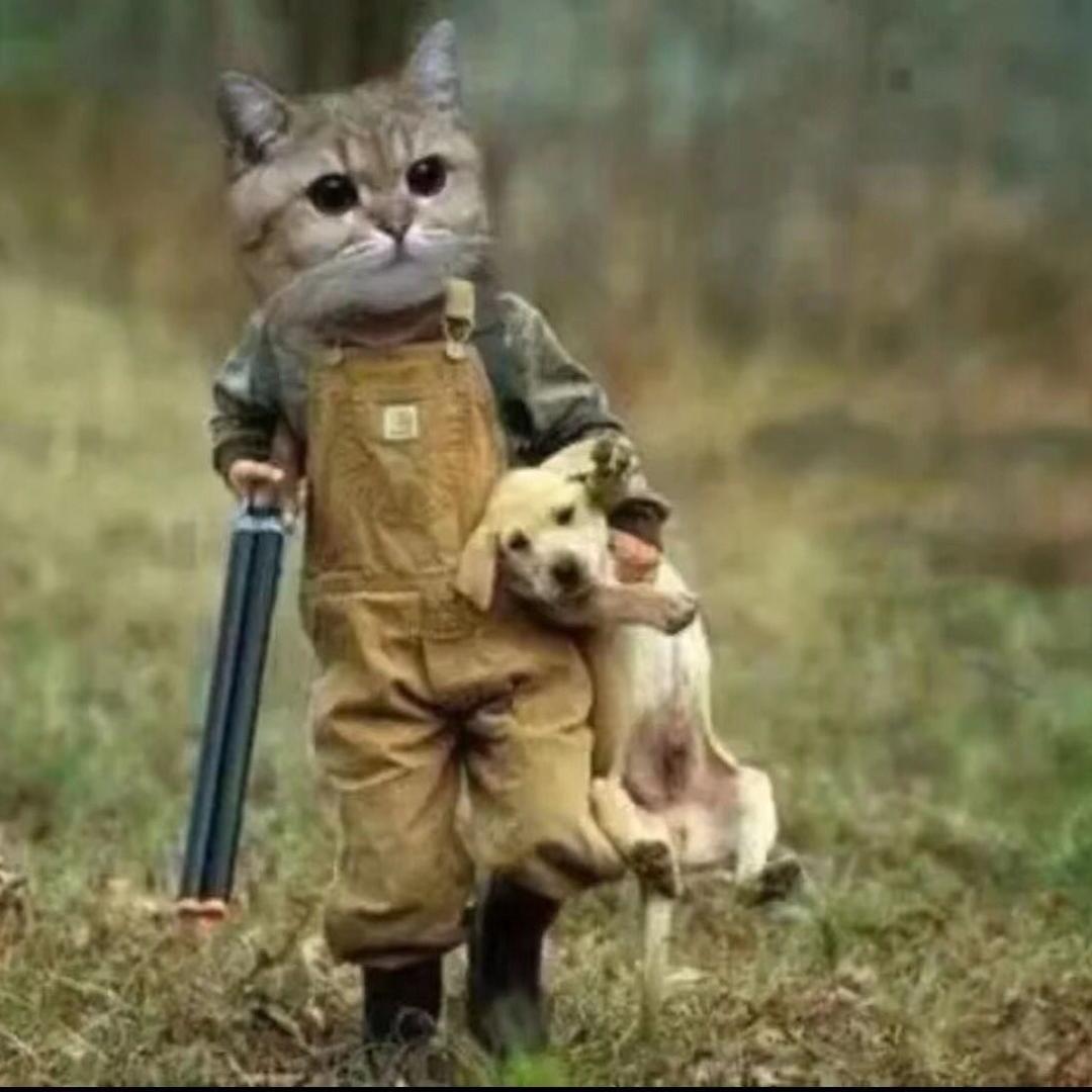 爱打火影的小叶