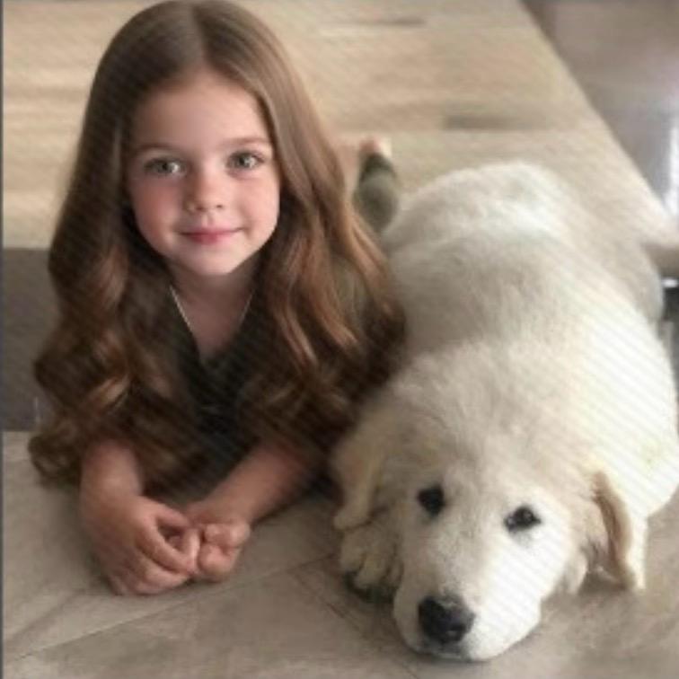 奶油火鸡面里没奶油