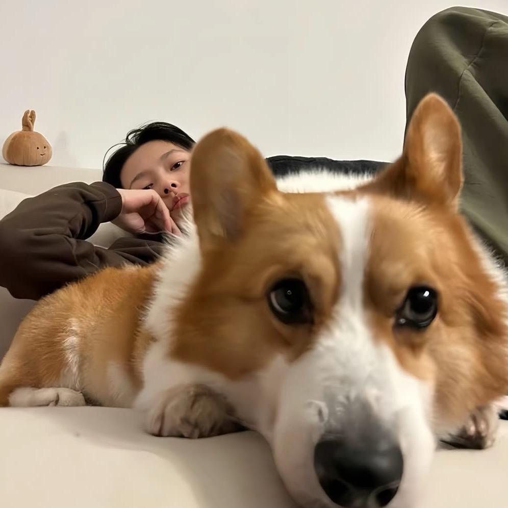 小张同学 🧸ྀི