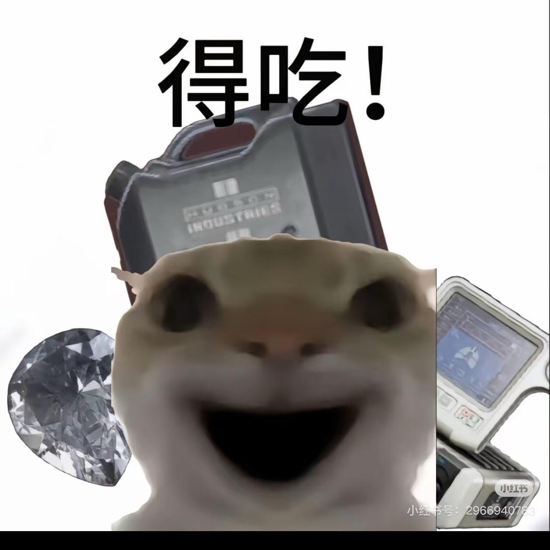 摸金指北针（三角洲）