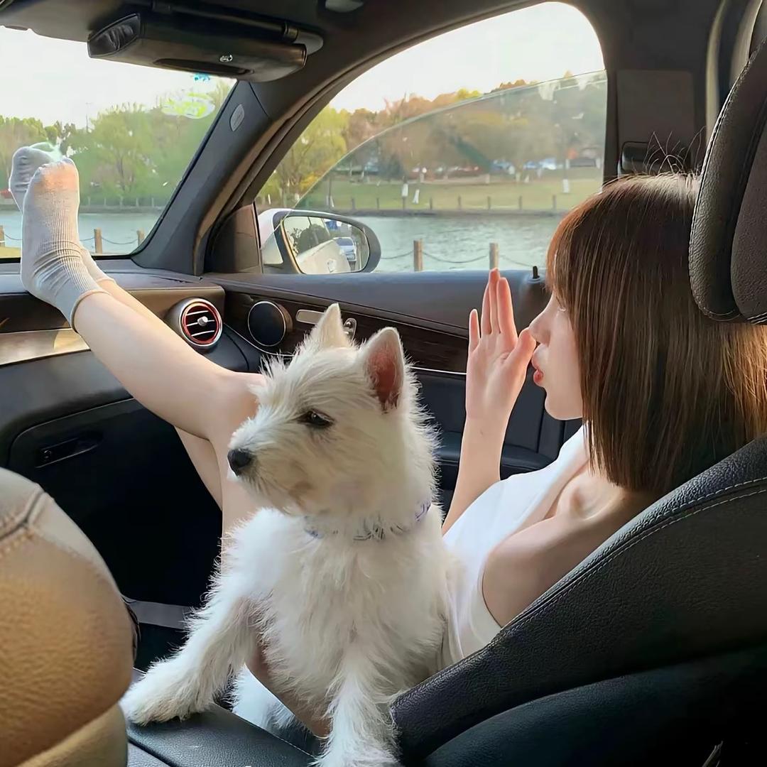 拿老公的钱出门养小白脸