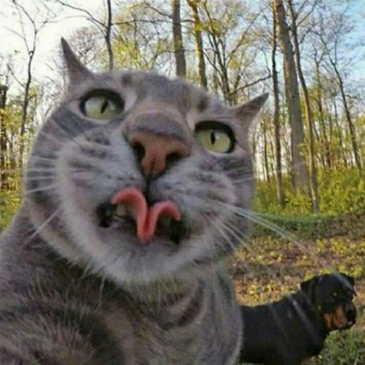 南宁师范大学小明学长（有新生👗）