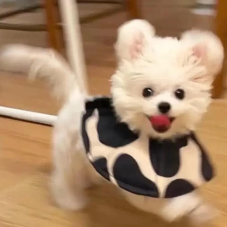 唉等一下😎